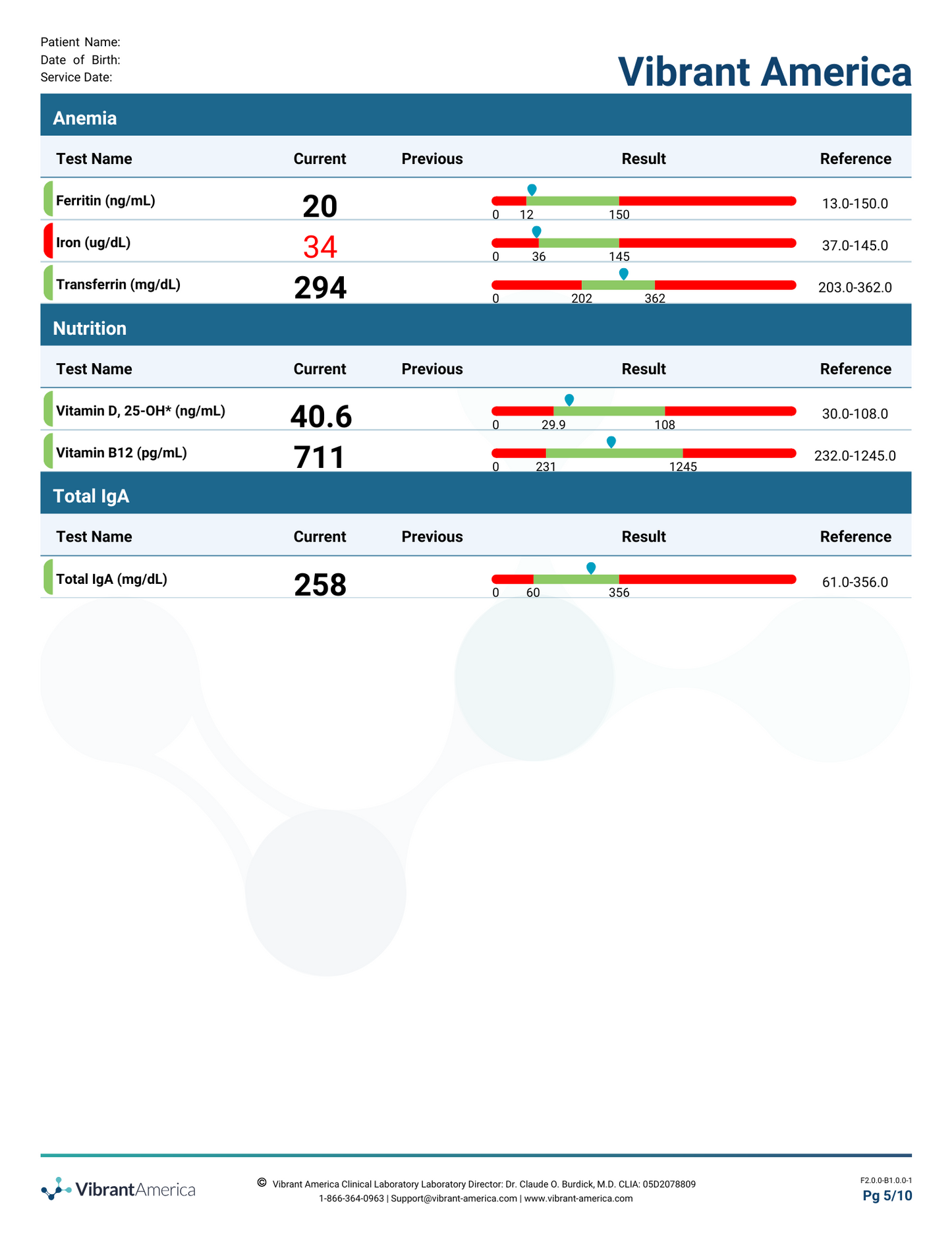 Comprehensive Lab Panel | Your Foundational Health Blueprint