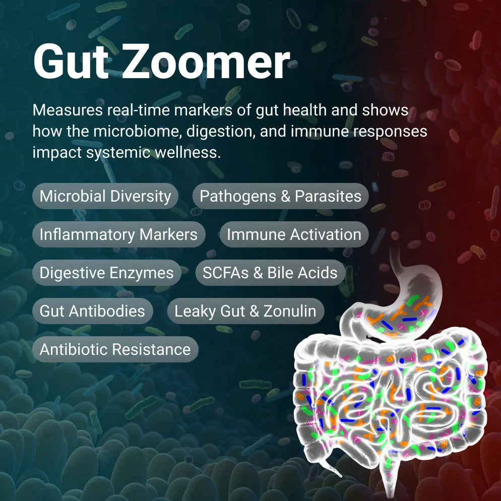 Gut Health Test