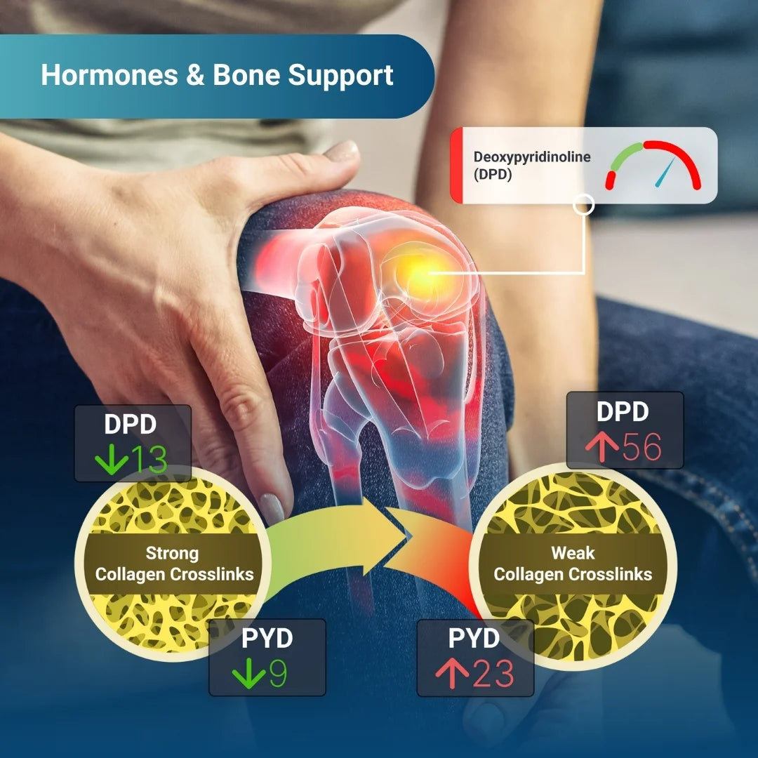 Hormone Zoomer