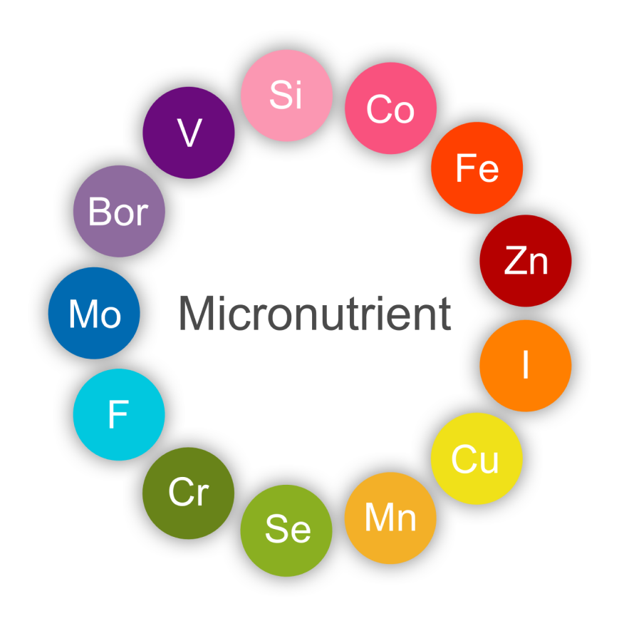 Micronutrient Test