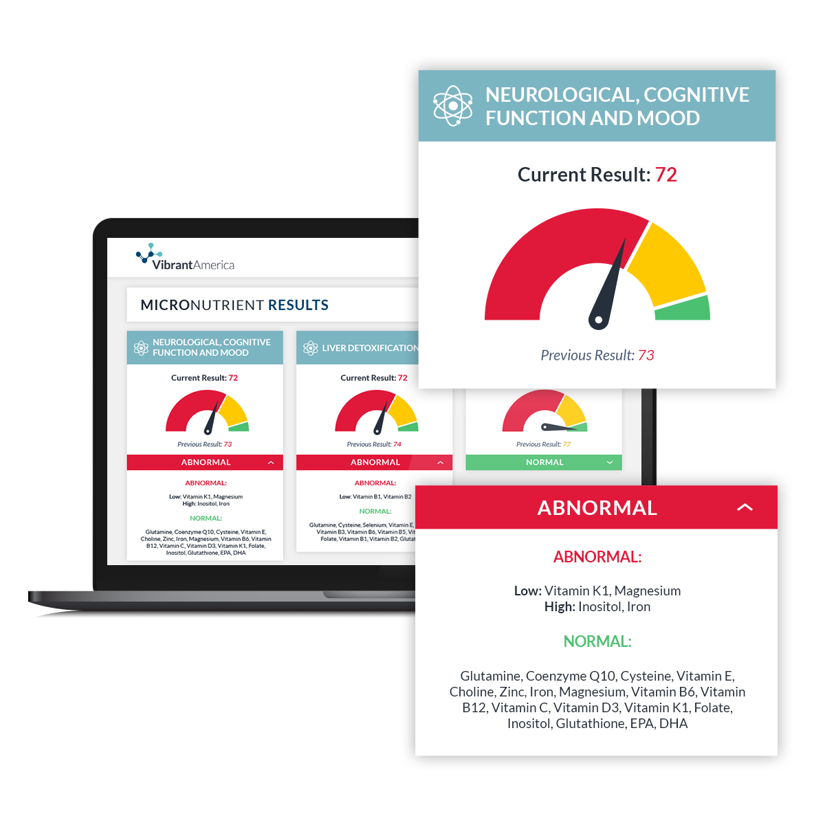 Micronutrient Test