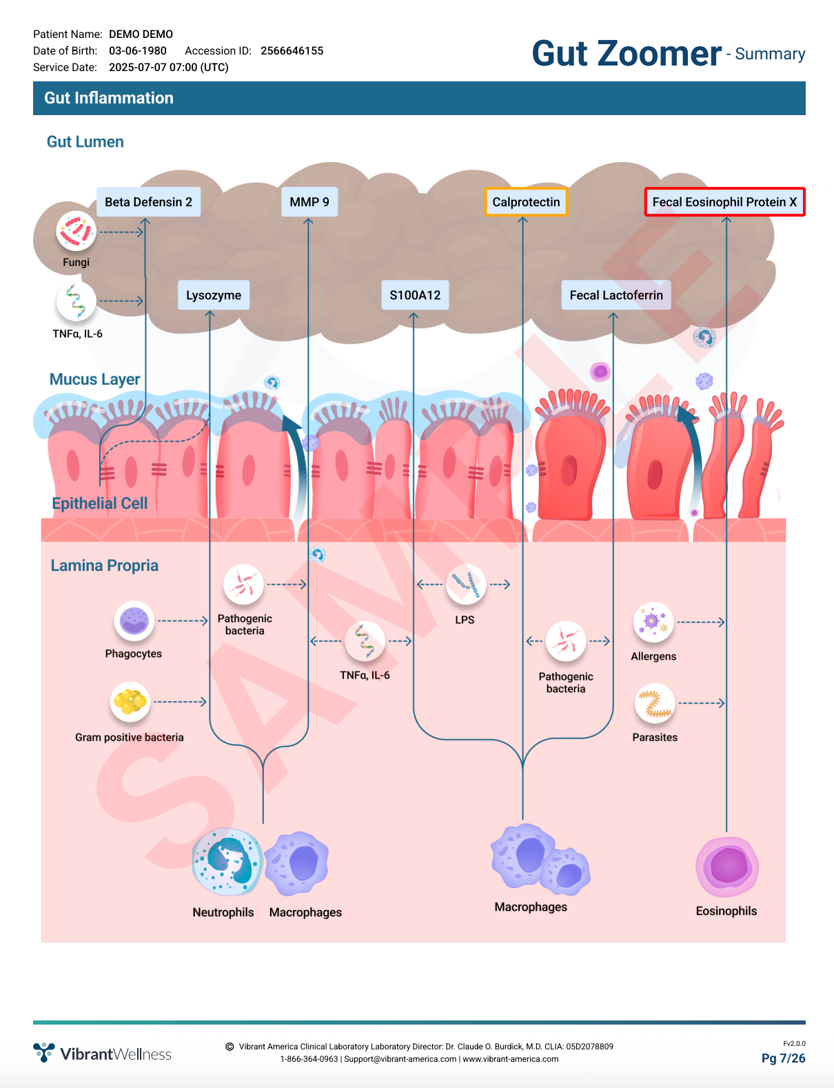 Gut Health Test