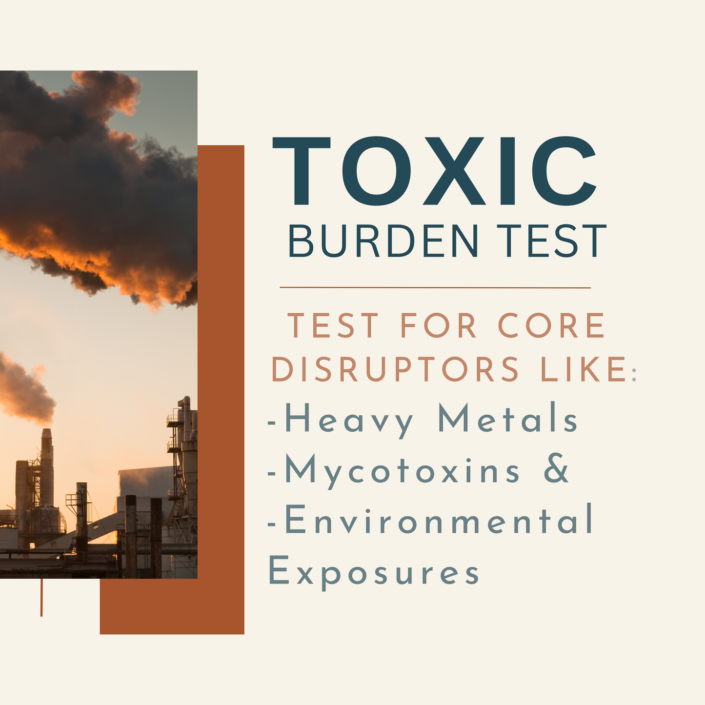 Toxic Burden Test